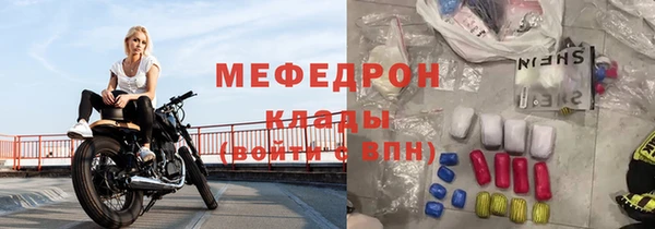 индика Козельск