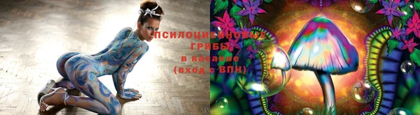 дмт Краснослободск