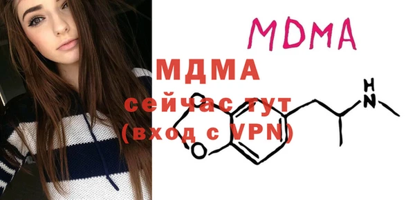 индика Козельск