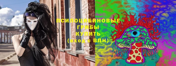 дмт Краснослободск