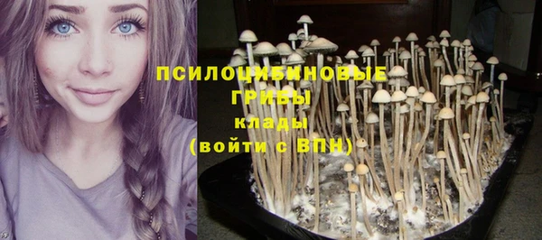 шишки Нижний Тагил
