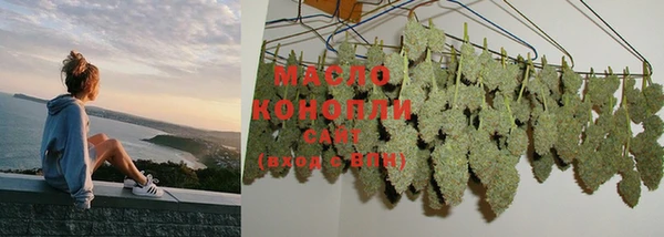 индика Кодинск