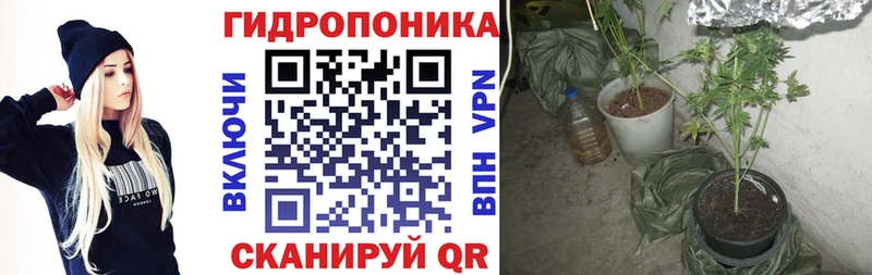 Конопля марихуана  площадка какой сайт  Костомукша 